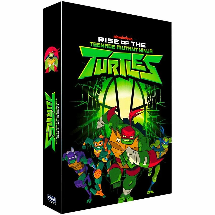 Budget 🌟 le destin des tortues ninja,DVD 👏 1 Budget 🌟 le destin des tortues ninja,DVD 👏