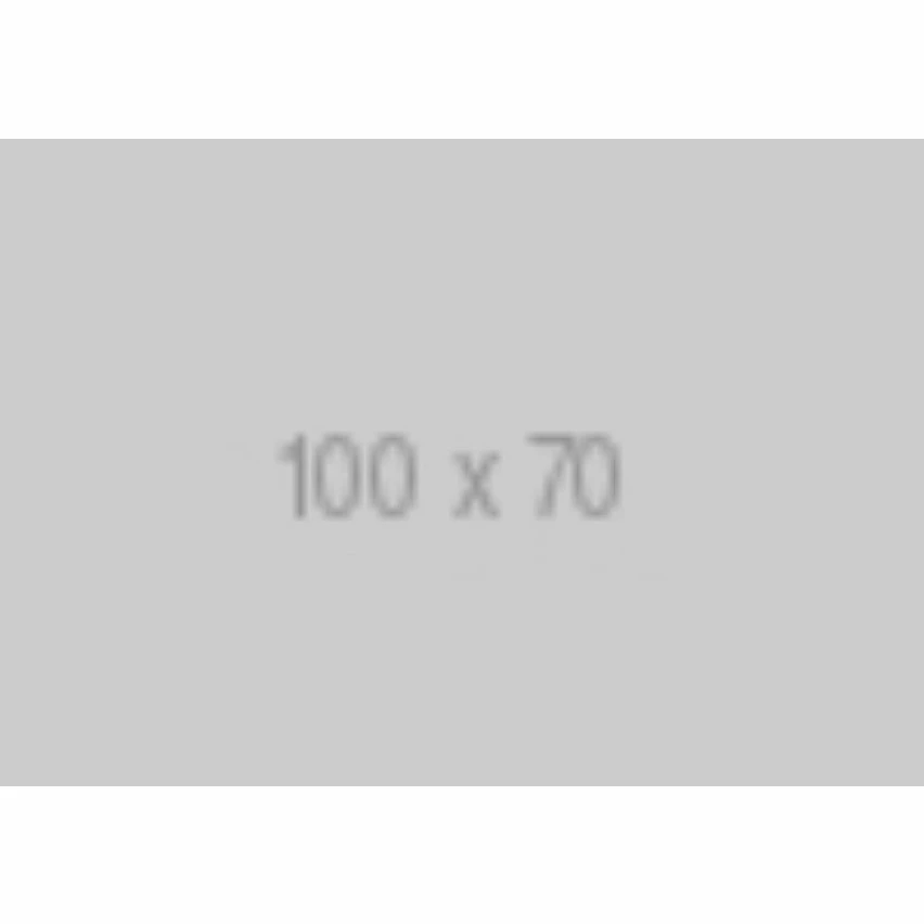 Coupon 💯 les ailes d'Honneamise ⌛ 6 Coupon 💯 les ailes d'Honneamise ⌛ – Image 6