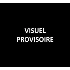 Remise 🤩 Batman : the long 💀 Halloween, part.1 😀