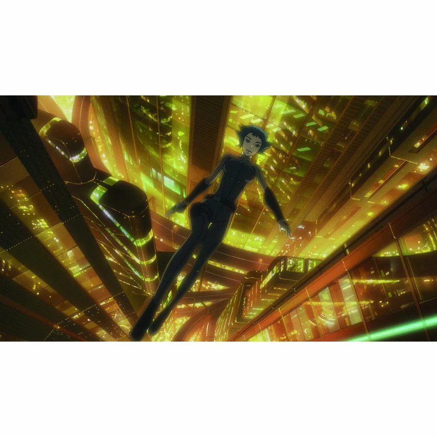 Offres 👏 coffret ghost in the shell arise, film 1 et 2 🥰 6 Offres 👏 coffret ghost in the shell arise, film 1 et 2 🥰 – Image 6