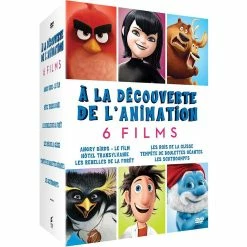 Vente flash 💯 à la découverte de l'animation 6 films 🛒