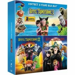 Coupon ⌛ Hôtel Transylvanie 1 à 3 ⭐