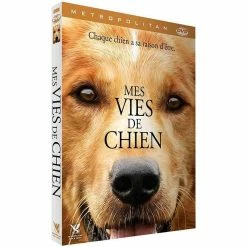 Sortie ✨ mes vies de chien ⌛