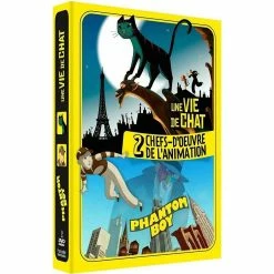 Top 10 👏 coffret chefs-d'oeuvres de l'animation 2 films : phantom boy ; une vie de chat 👍