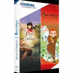 Le moins cher ❤️ coffret animation, vol. 1, 2 films : le jour des corneilles ; Brendan et le secret de Kells 👍