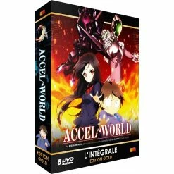 Top 10 🥰 coffret intégrale Accel world ✨