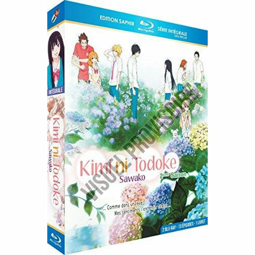 Meilleure affaire 🔥 coffret intégrale Sawako, saison 2 🤩 1 Meilleure affaire 🔥 coffret intégrale Sawako, saison 2 🤩