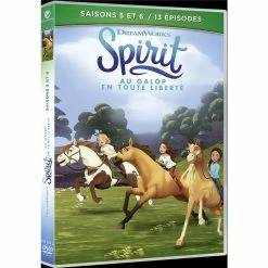 Grosses soldes 😀 coffret Spirit, saisons 5 et 6, 13 épisodes ✔️