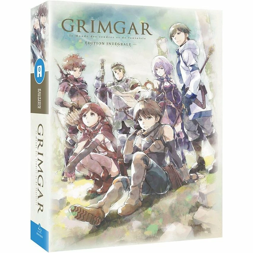 Coupon 🌟 coffret intégrale Grimgar, le monde des cendres et de fantaisie 😉 1 Coupon 🌟 coffret intégrale Grimgar, le monde des cendres et de fantaisie 😉