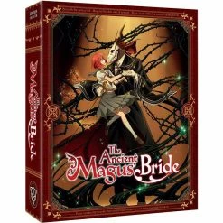 Le moins cher ❤️ coffret the ancient magus bride, saison 1 🔥