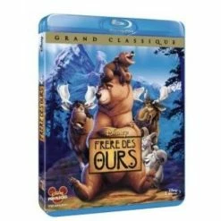 Les meilleures critiques de 💯 frère des ours 🔔