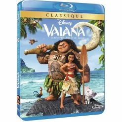 Budget ⌛ Vaiana, la légende du bout du monde 😉